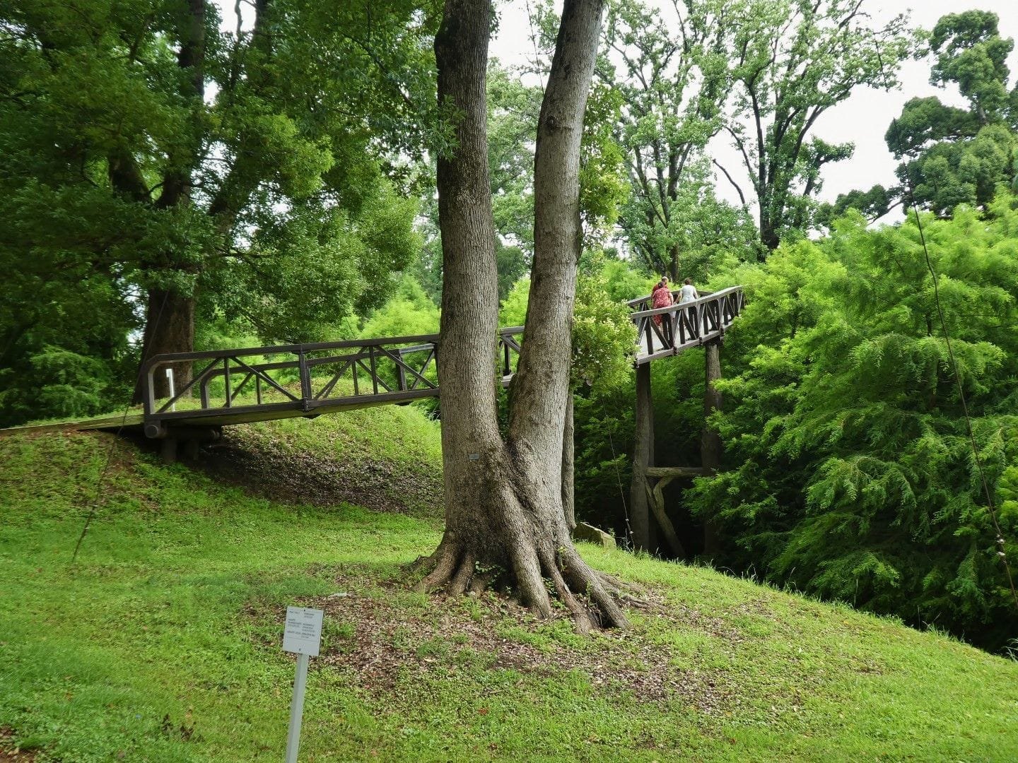 Parque dendrógico de Shekvetili